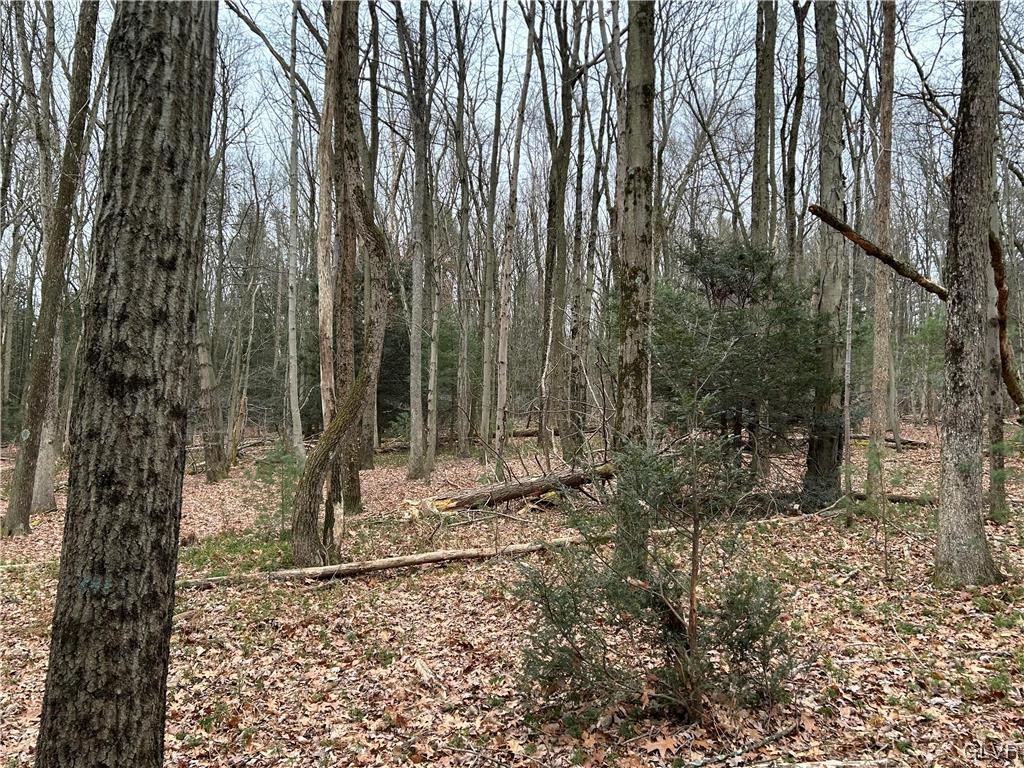 Lot Weir Weir Mountain Road Kunkletown, PA 18058 - Photo 5 of 8
