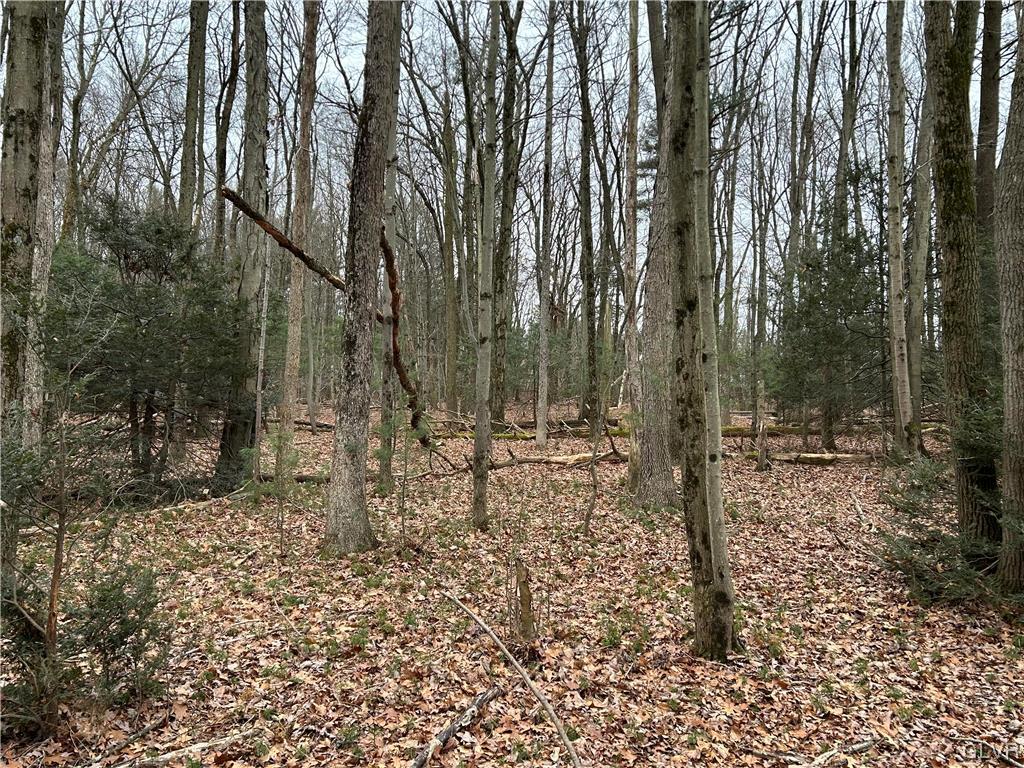 Lot Weir Weir Mountain Road Kunkletown, PA 18058 - Photo 6 of 8
