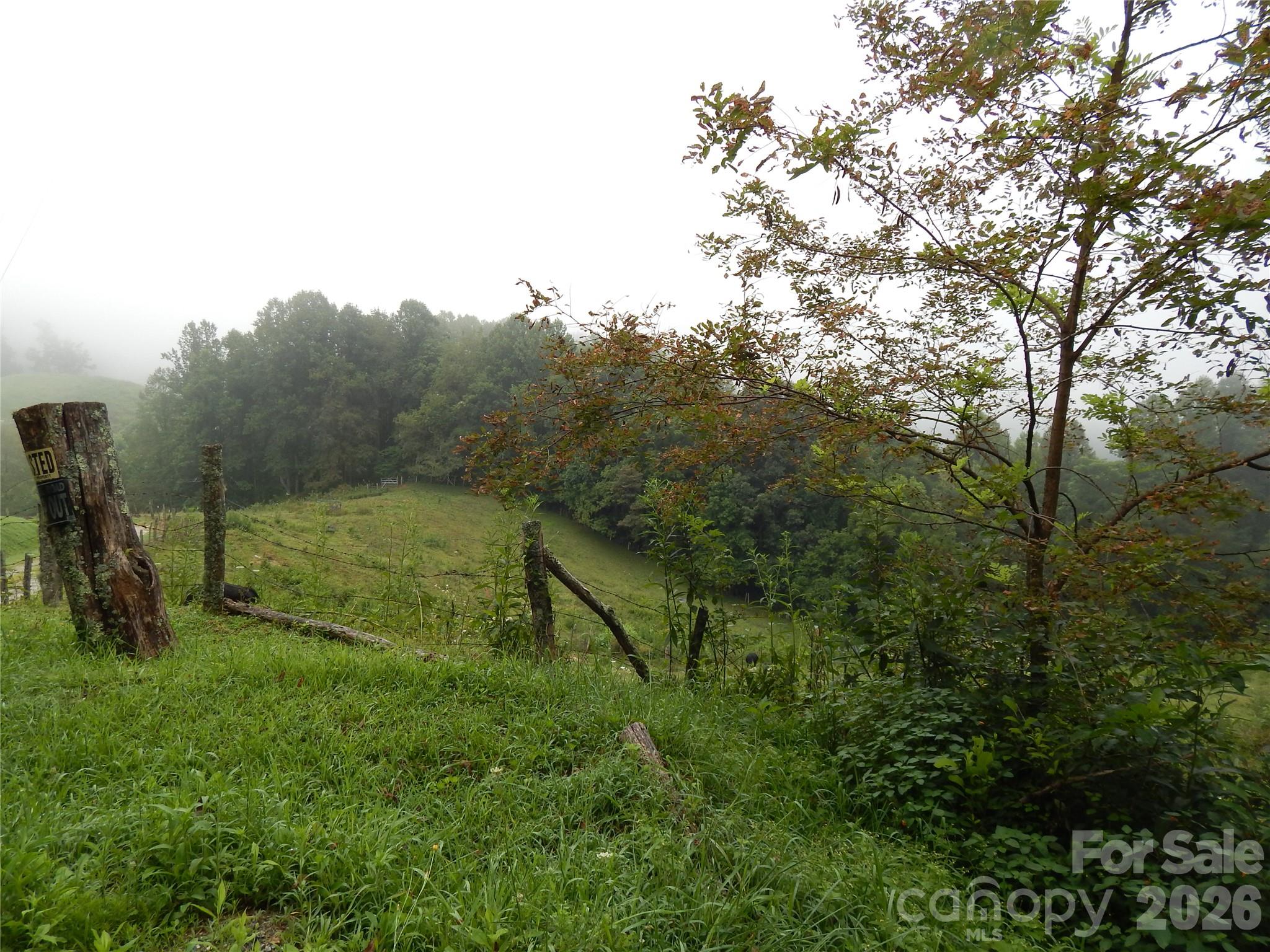 0 Henry Road Sylva, NC 28779 - Photo 2 of 25 Gallery Image 2
