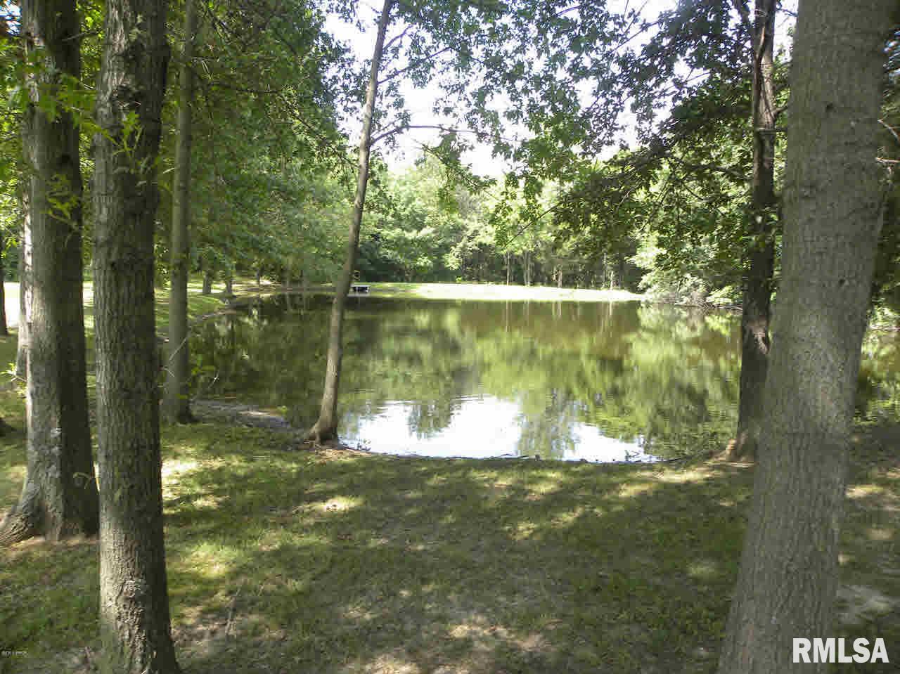 5471 Goldeneye Road Pinckneyville, IL 62274 - Photo 3 of 9