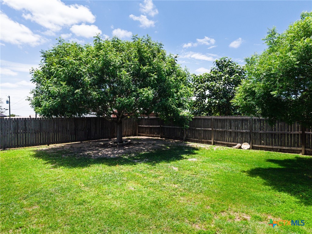 3375 Upton Drive Kempner, TX 76539 - Photo 35 of 38