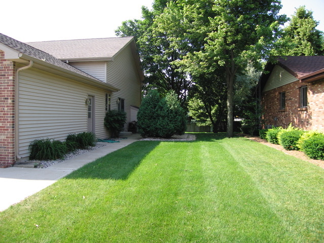 1011 Ranchwood Drive Shorewood, IL 60404 - Photo 16 of 18 a view of back yard of the house
