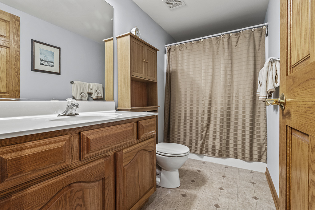 1011 Ranchwood Drive Shorewood, IL 60404 - Photo 7 of 18 a bathroom with a sink a toilet and shower