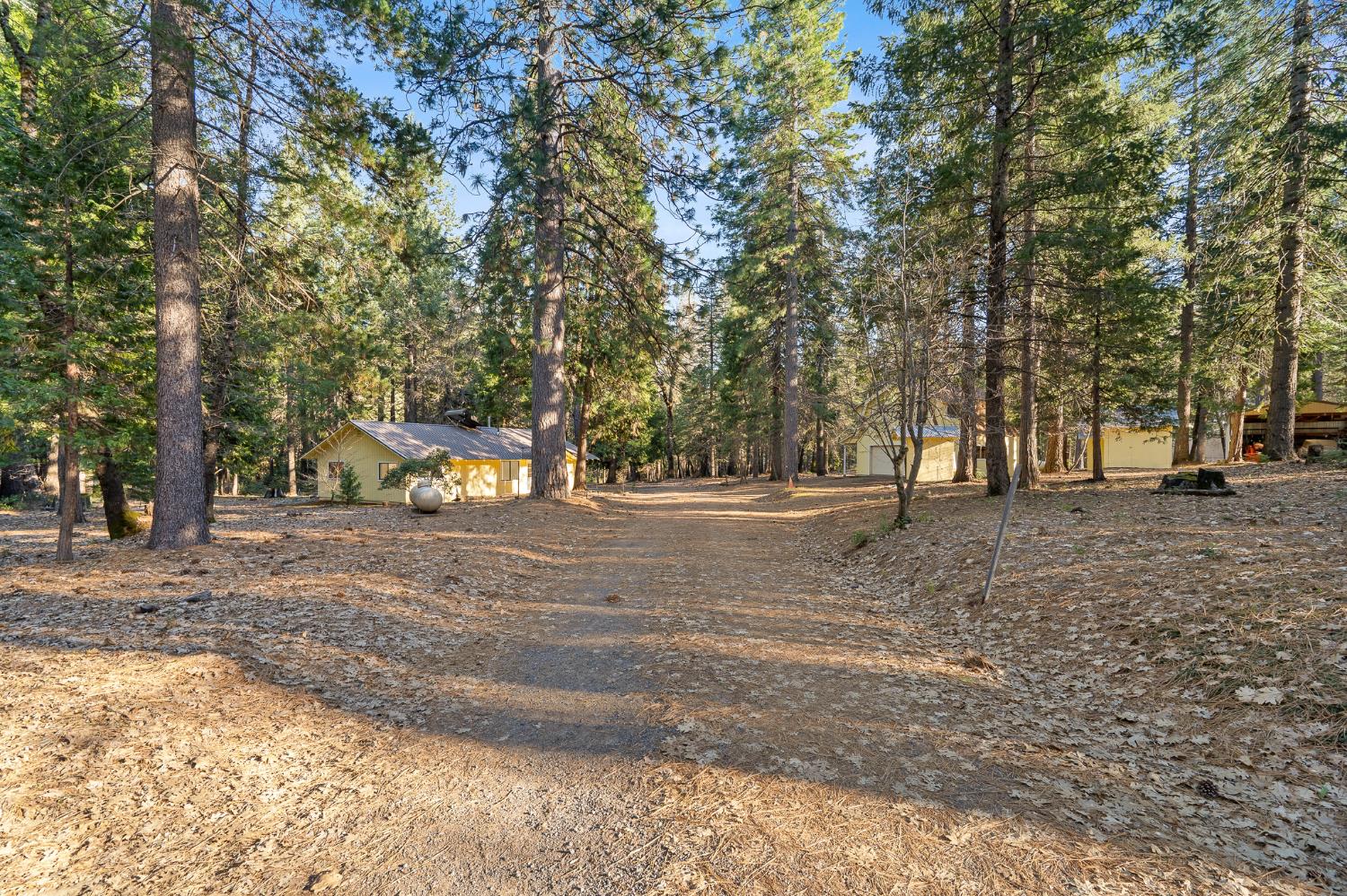5498 Platt Mountain Road Forest Ranch, CA 95942 - Photo 47 of 59 Driveway onto Property