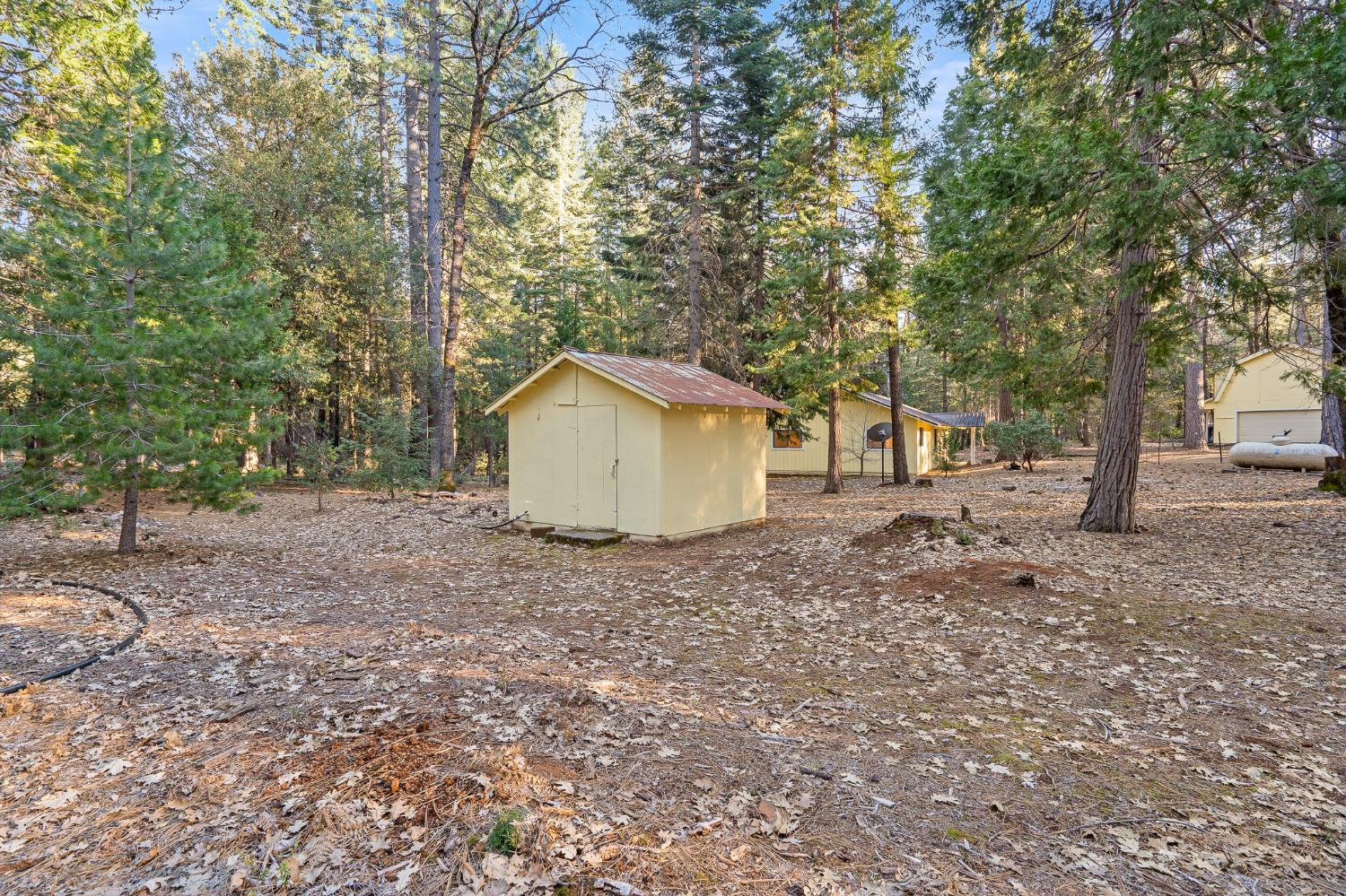 5498 Platt Mountain Road Forest Ranch, CA 95942 - Photo 51 of 59 Pump House for Well