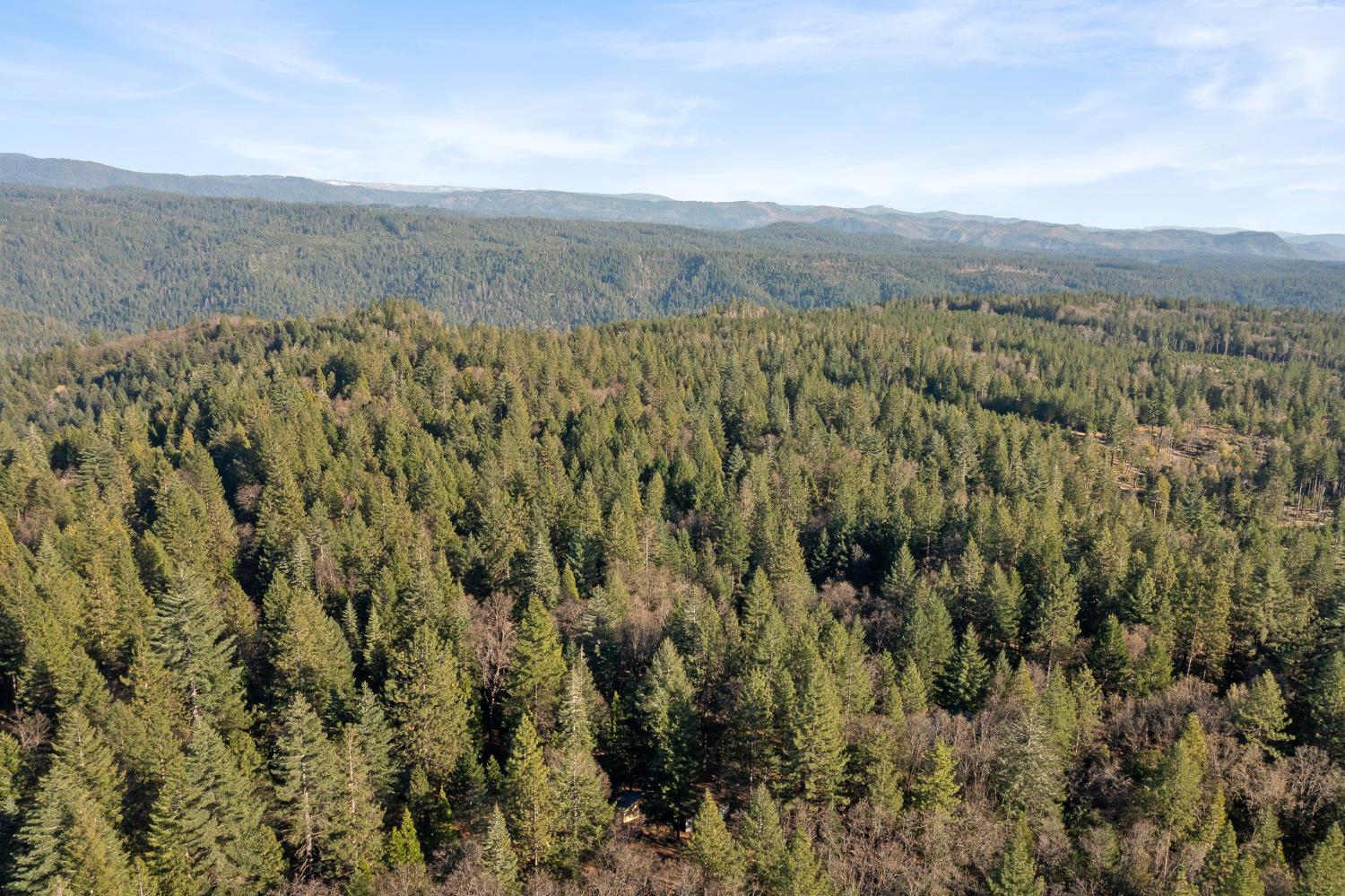 5498 Platt Mountain Road Forest Ranch, CA 95942 - Photo 53 of 59 Aerial View from Property