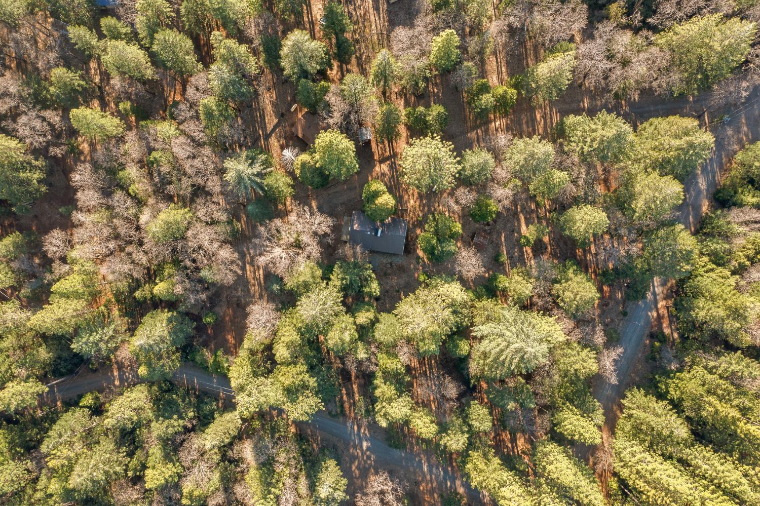 5498 Platt Mountain Road Forest Ranch, CA 95942 - Photo 55 of 59 Aerial View looking Down on Property