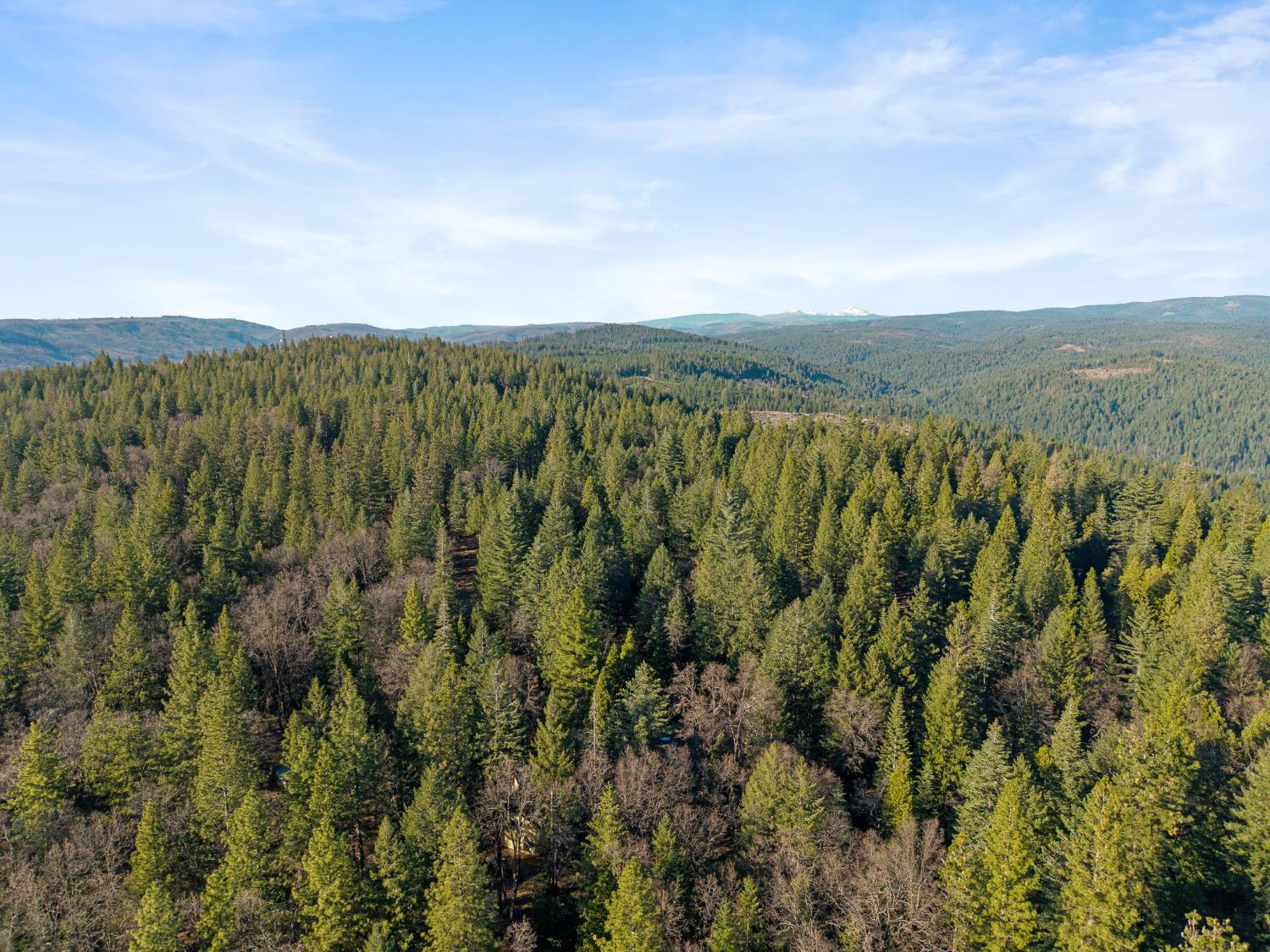 5498 Platt Mountain Road Forest Ranch, CA 95942 - Photo 56 of 59 Aerial View Looking Along Ridge towards Lassen