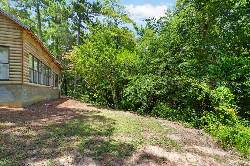 1330 Chestnutt Road Slocomb, AL 36375 - Photo 48 of 48