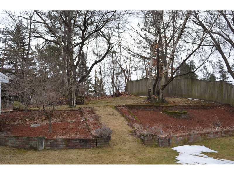 Yard/Garden.