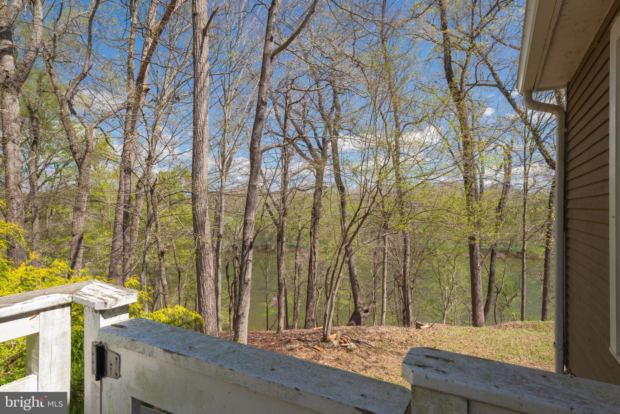 121 Yarnick Road Great Falls, VA 22066 - Photo 22 of 104