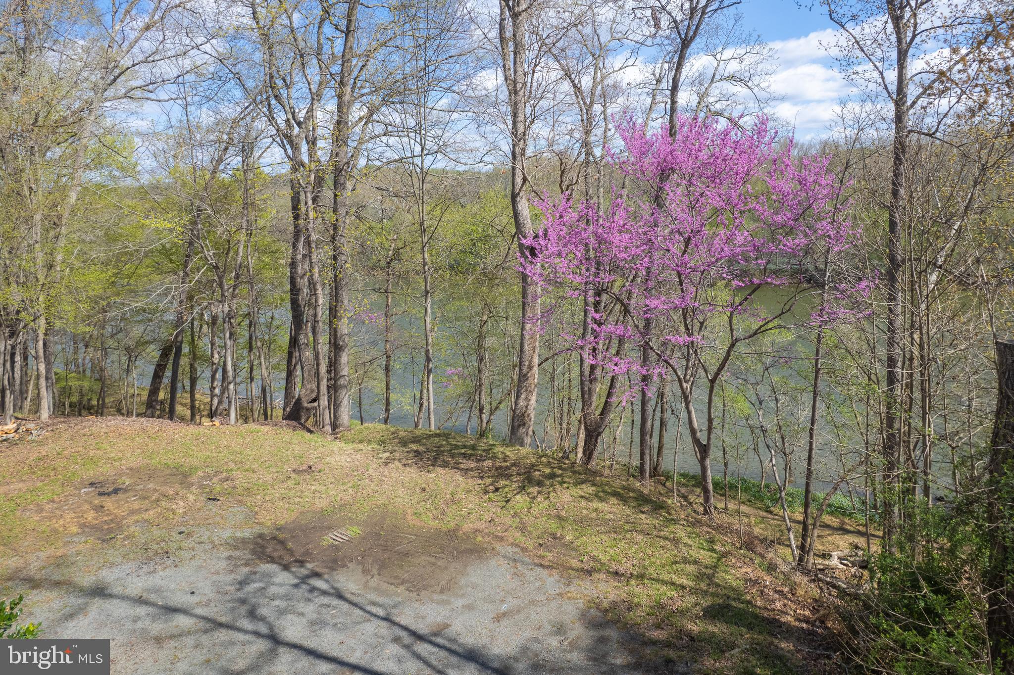 121 Yarnick Road Great Falls, VA 22066 - Photo 95 of 104