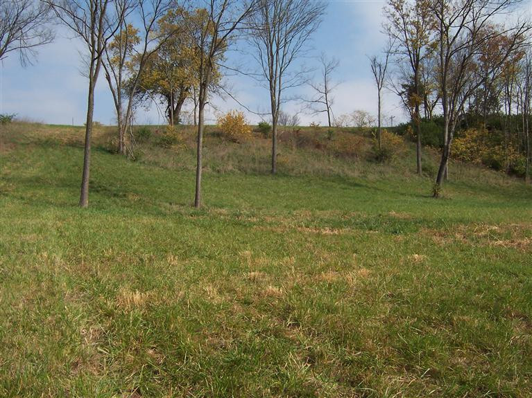 2382 Union Mill Road Nicholasville, KY 40356 - Photo 17 of 39 Photo 17