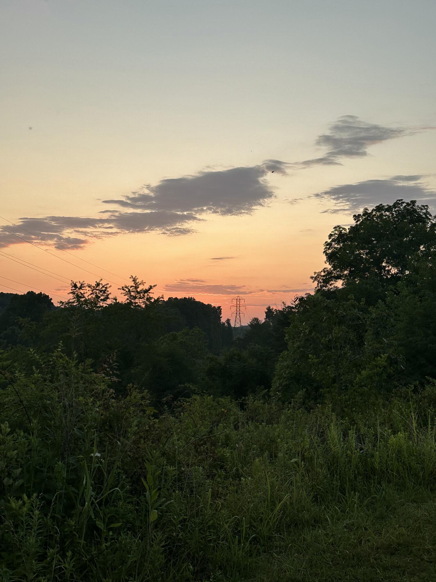 6290 Sky Ridge Road Roanoke, VA 24018 - Photo 4 of 8 IMG_20250408_100121 (1)