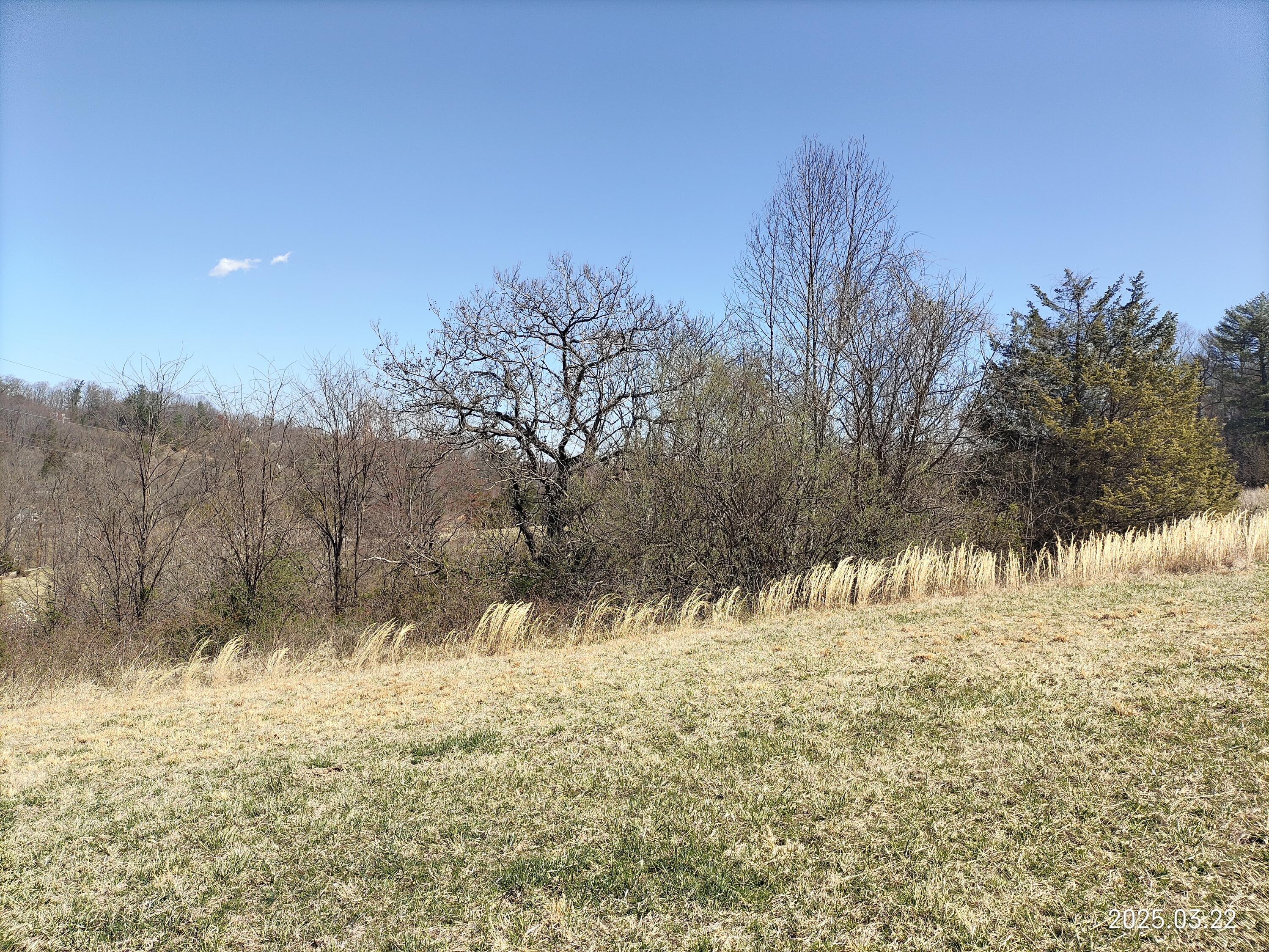 6290 Sky Ridge Road Roanoke, VA 24018 - Photo 7 of 8 IMG_20250322_132523