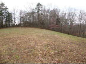 0 Valleydale Road, Unit 1215 Mosheim, TN 37818 - Photo 1 of 7 Nice building area