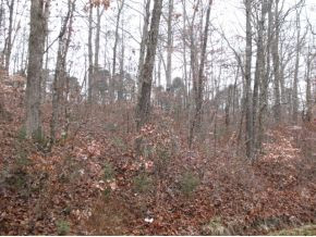 0 Valleydale Road, Unit 1215 Mosheim, TN 37818 - Photo 3 of 7 Another wooded area
