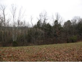 0 Valleydale Road, Unit 1215 Mosheim, TN 37818 - Photo 4 of 7 Wooded buffer to road