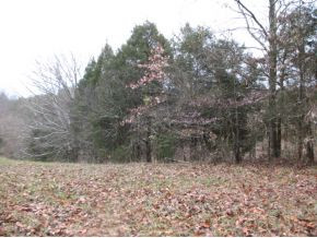 0 Valleydale Road, Unit 1215 Mosheim, TN 37818 - Photo 6 of 7 Pasture