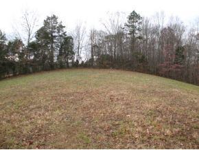 0 Valleydale Road, Unit 1215 Mosheim, TN 37818 - Photo 7 of 7 Could be building site