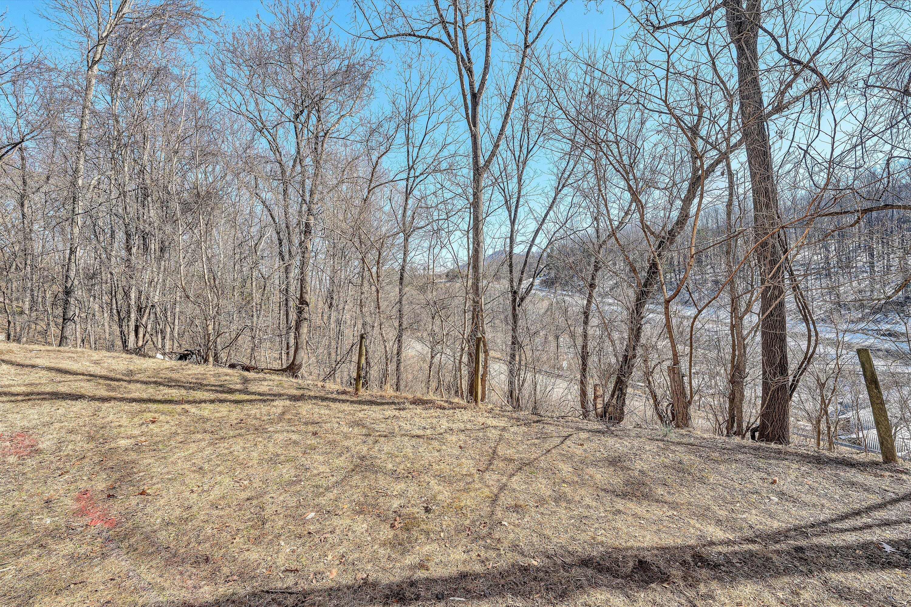 7031 Crown Road Roanoke, VA 24018 - Photo 50 of 53 45-DSC00523