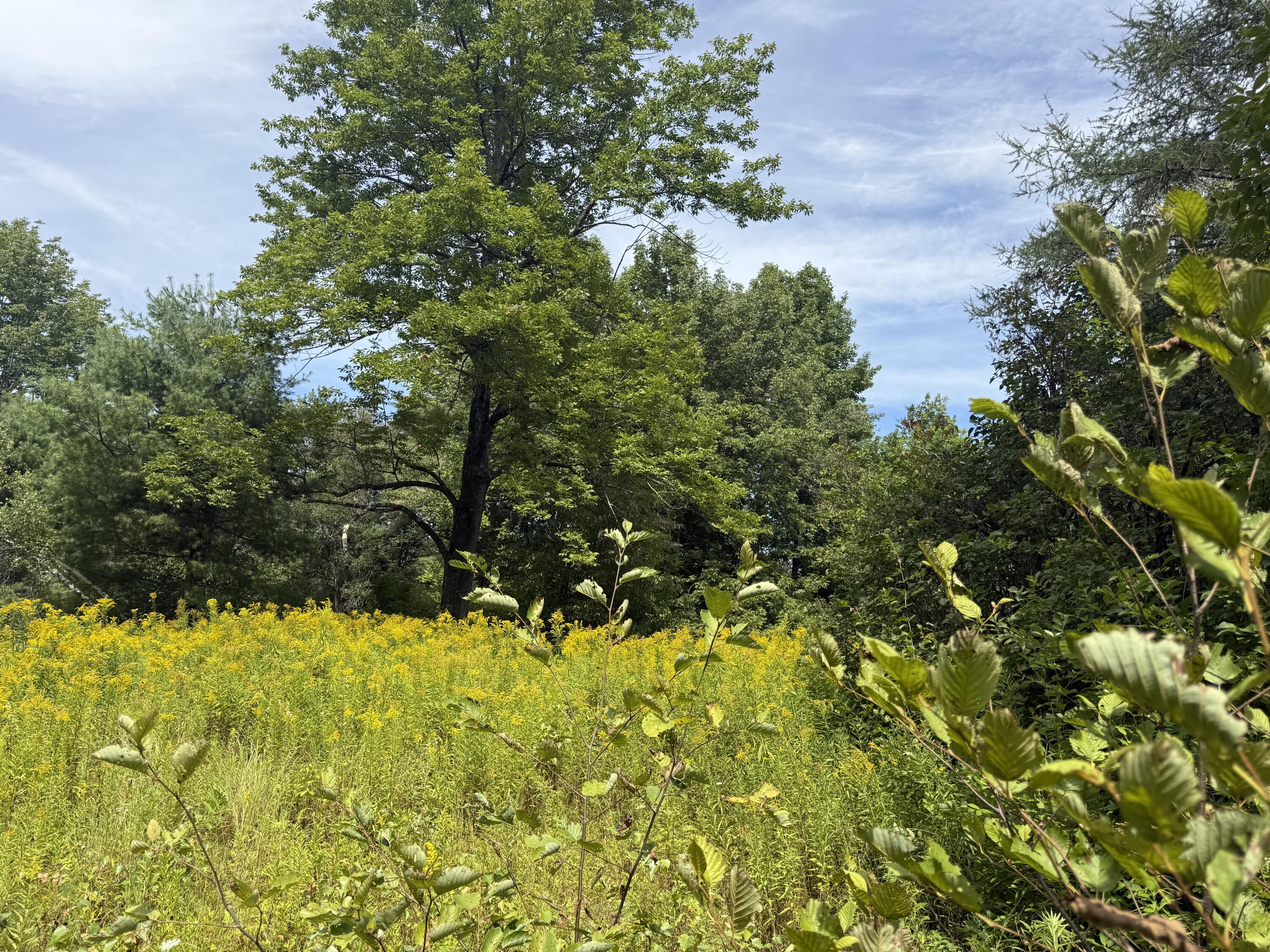 Lot 14 Dead River Road Bowdoin, ME 04287 - Photo 2 of 3 DRR 4