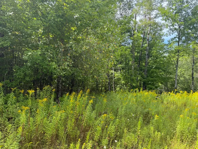 $225,000 | Lot 14 Dead River Road, Bowdoin, ME 04287