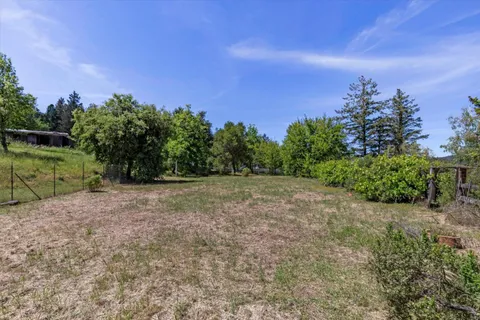 a view of a yard with a tree
