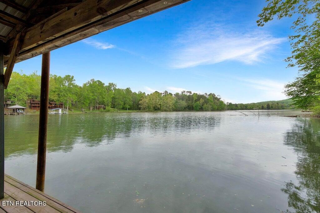 350 Dogwood Cove Road Spring City, TN 37381 - Photo 42 of 52 Gallery Image 42