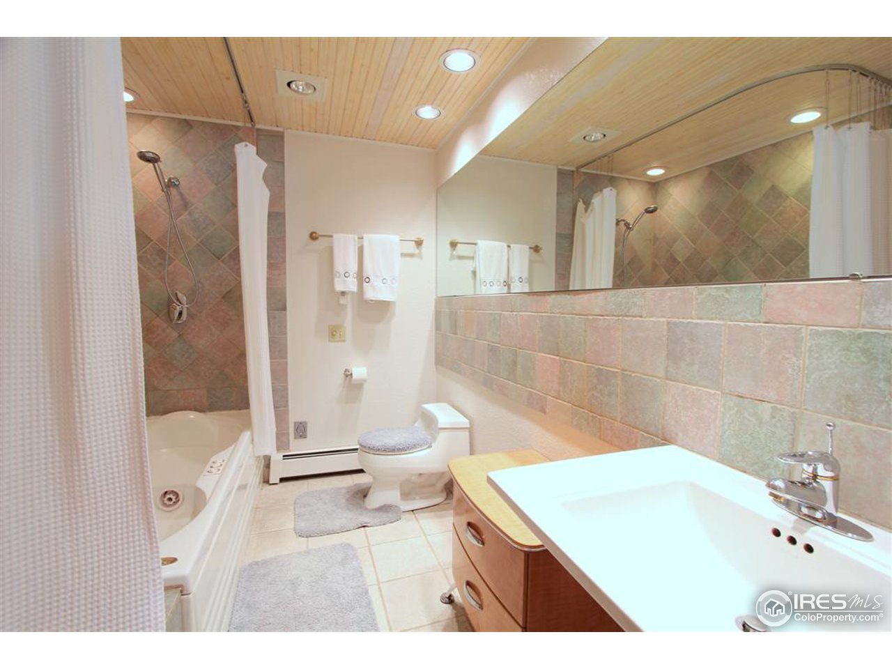 3430 Terry Ridge Road Fort Collins, CO 80524 - Photo 14 of 25 Master Bath with Jaccuzi Tub