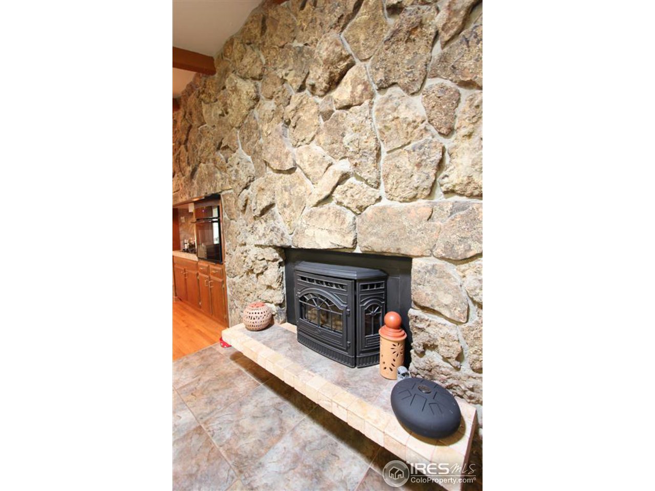 3430 Terry Ridge Road Fort Collins, CO 80524 - Photo 9 of 25 Fireplace