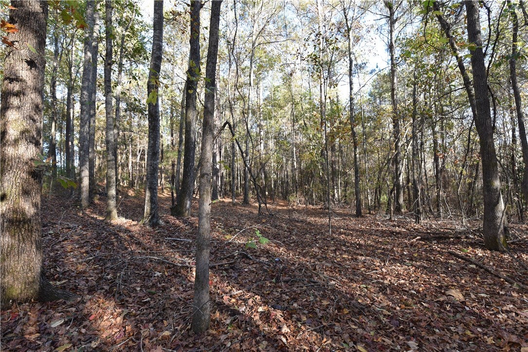 573 Rolling Ridge Road Auburn, AL 36830 - Photo 23 of 30 Gallery Image 23