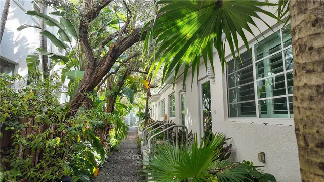 a close up of a plant in a garden