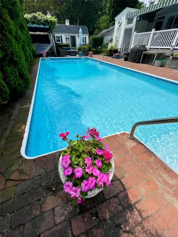 a view of a backyard with potted plants