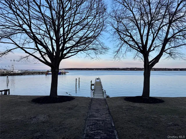 a view of a backyard with large trees