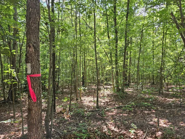 a view of outdoor space with lots of trees