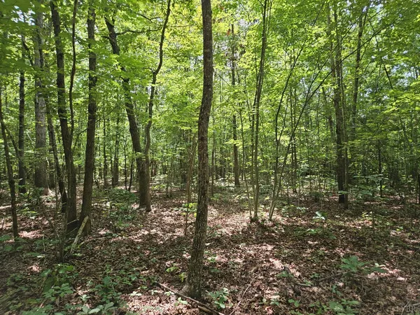 a view of outdoor space and trees
