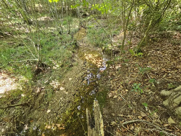 a view of a lake with a yard