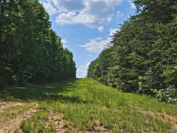a view of a green field with lots of bushes