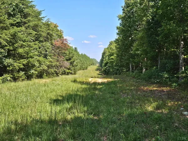 a view of a field with trees in background
