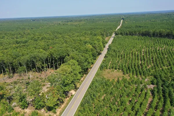 a view of a bunch of trees and bushes