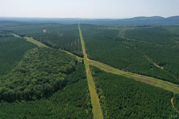 a view of a green field with lots of bushes