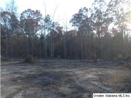 Rock Church Road, Unit 7 3 Sylacauga, AL 35150 - Photo 11 of 27 Gallery Image 11