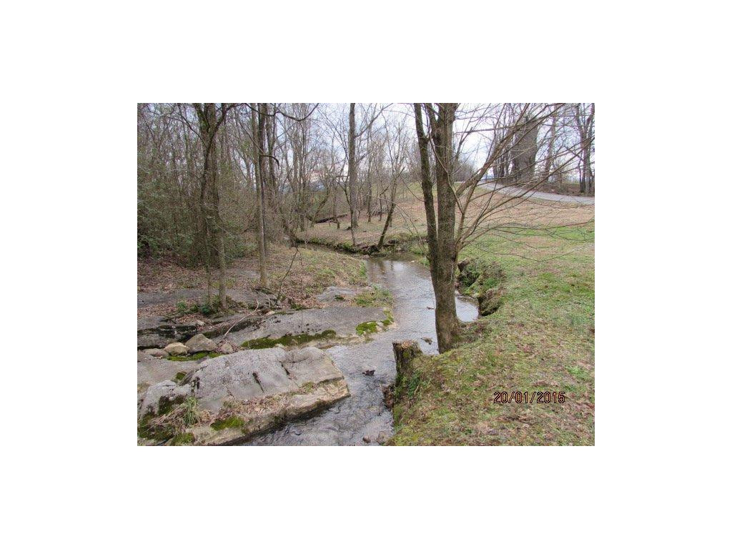 Tbd Pig Broyles Road Limestone, TN 37681 - Photo 1 of 6 Small stream borders property