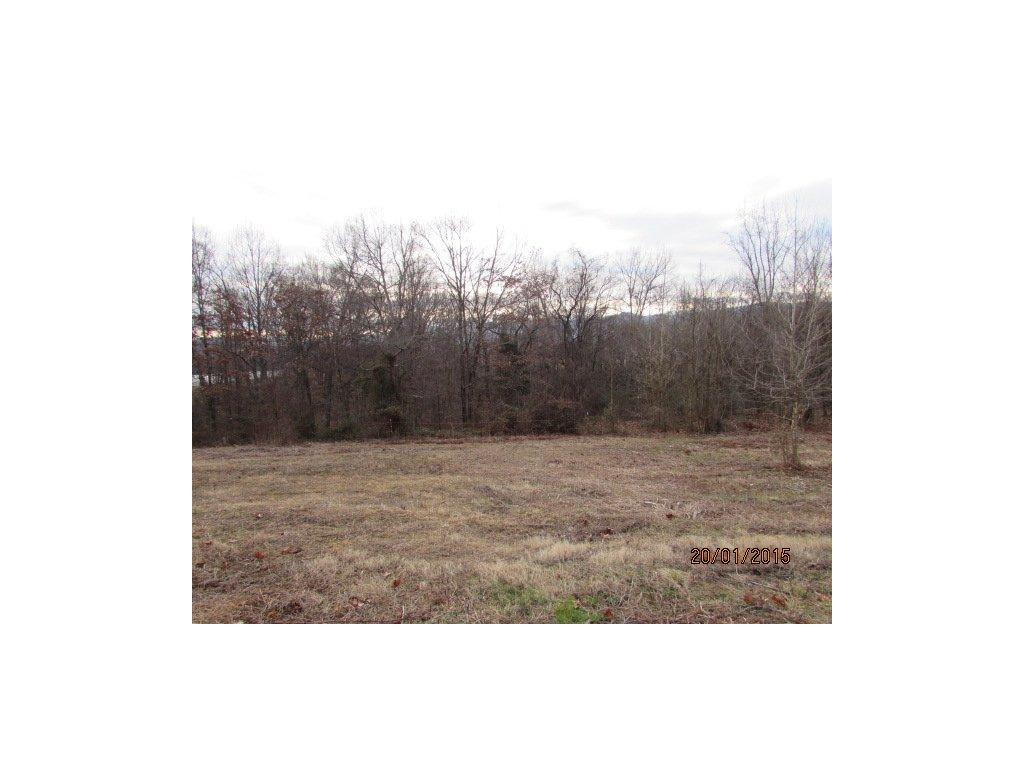 Tbd Pig Broyles Road Limestone, TN 37681 - Photo 3 of 6 Photo 3