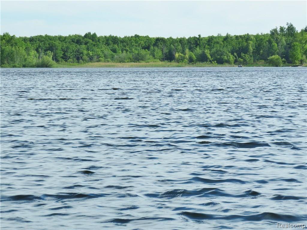 5590 Big Fish Lake Road Goodrich, MI 48438 - Photo 43 of 46 IMG_0123.JPG