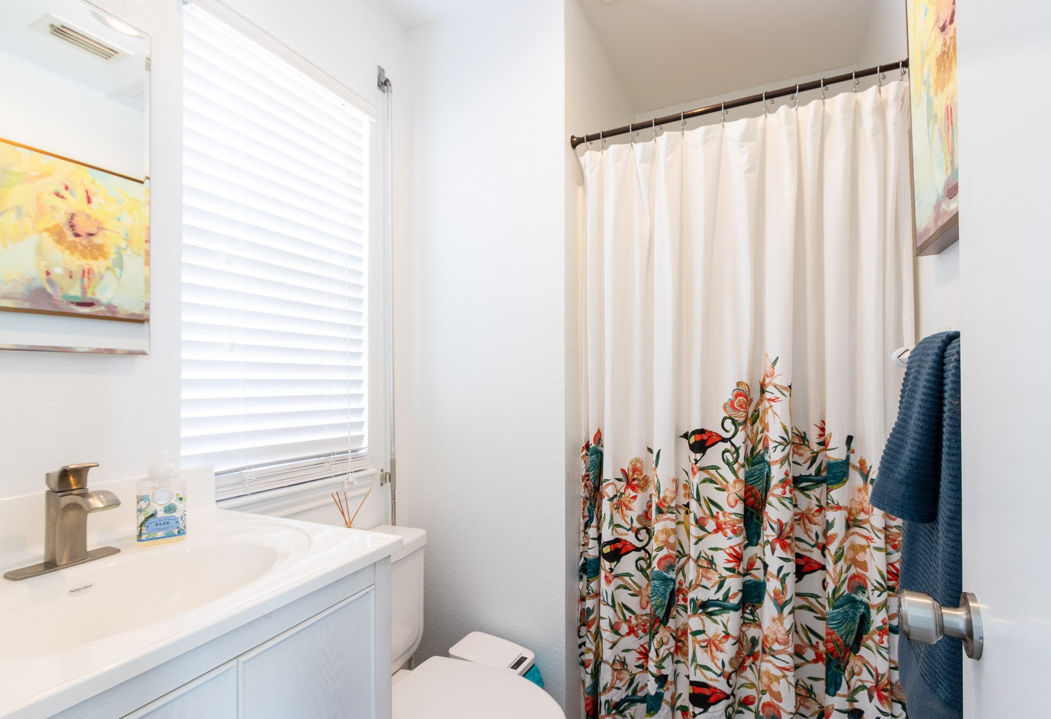 17609 Termini-San Luis Pass Road Galveston, TX 77554 - Photo 13 of 37 a bathroom with a sink toilet and mirror