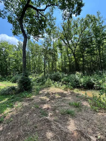 $850,000 | 413 S Creek, Jacksonville, TX 75766