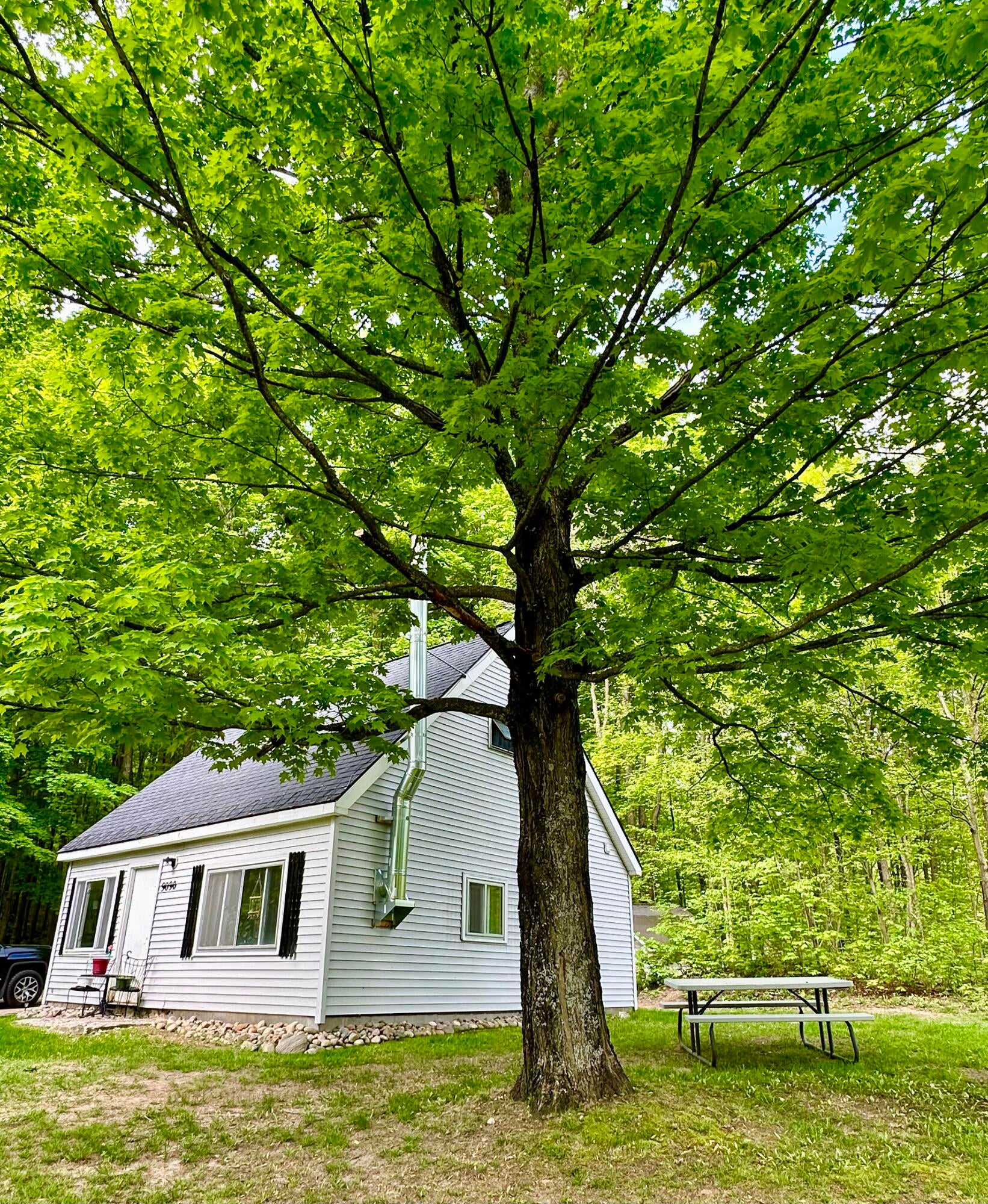 9090 Strilecky Road Atlanta, MI 49709 - Photo 3 of 55 Gallery Image 3