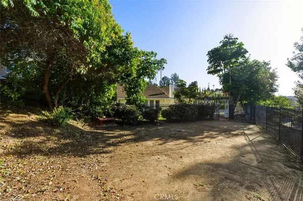 a view of a yard with plants and trees